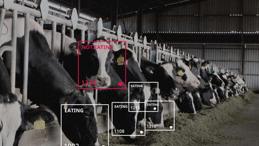 AI vision system tracking dairy cows’ eating behavior in smart barn