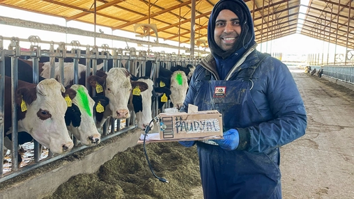 Can Artificial Intelligence Make Happier Cows?