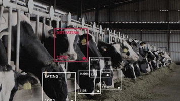 AI vision system tracking dairy cows’ eating behavior in smart barn