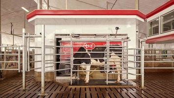 How AI Is Milking a Dairy Revolution