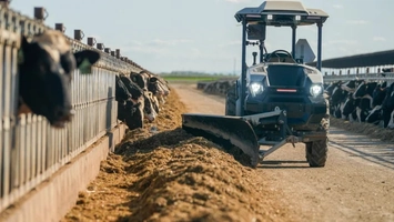 Autonomous tractor clearing feed between rows of cows inside a large modern dairy facility