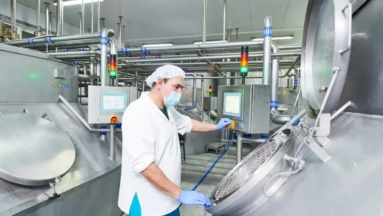 Dairy technician monitors fermentation tanks during starter culture processing