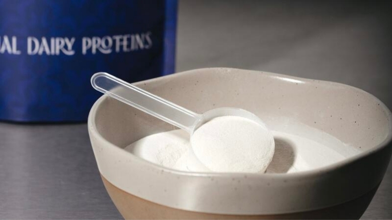 Precision-fermented whey protein powder in white bowl